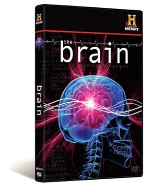 The Brain