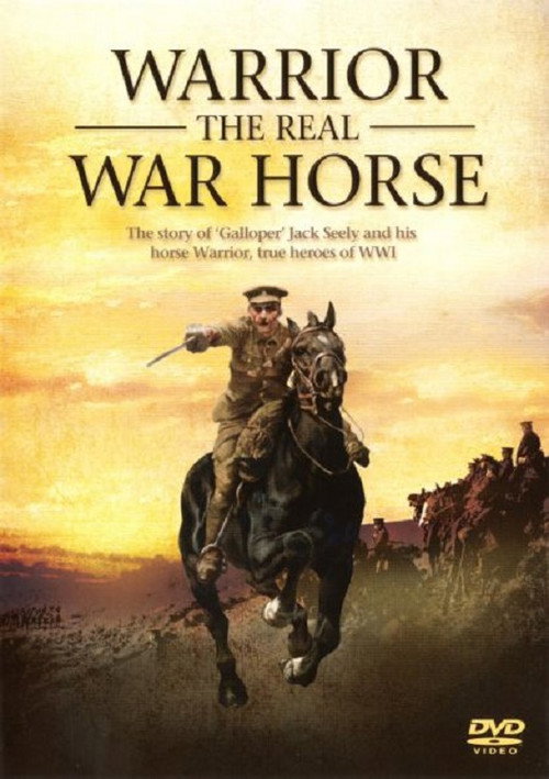 Warrior the Real War Horse