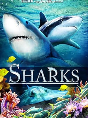 Sharks (in 3D)