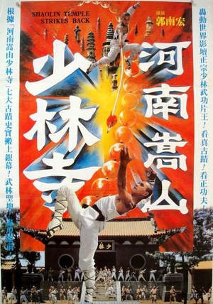 Strikes Back Shaolin Temple