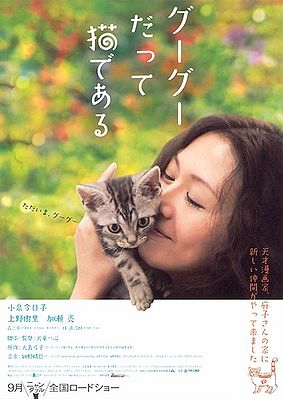 Gou Gou, the Cat