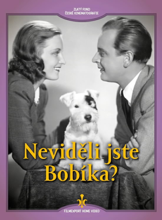 Nevideli jste Bobika?
