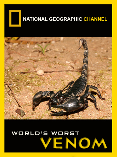 World's Worst Venom