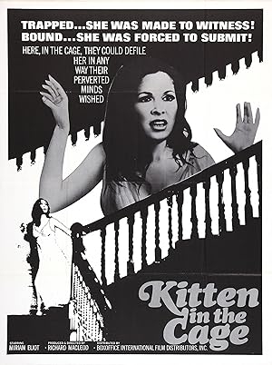 Kitten in the Cage
