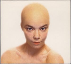 Bjork: Hunter