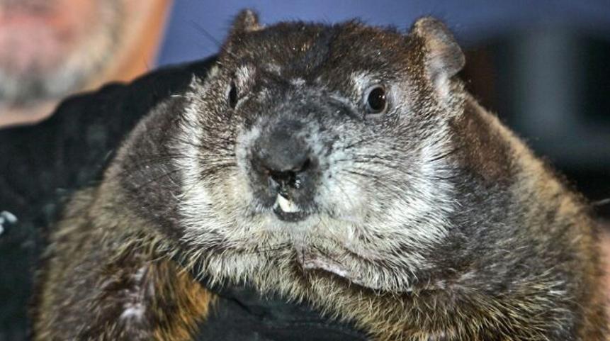A Groundhog Day Story