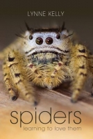 [ DevCourseWeb ] Spiders - Learning to Love Them