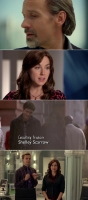 Being Erica S02 720p x265-ZMNT