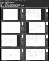 [ FreeCourseWeb ] Gumroad - Foundation Patreon - Intro to Constructing the Face