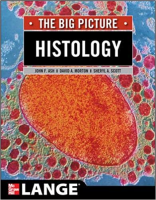 [ FreeCourseWeb ] Histology- The Big Picture