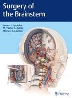 [ FreeCourseWeb ] Surgery of the Brainstem