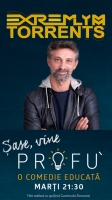Profu S01E09 720p HDTV h264-ExtremlymTorrents