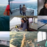 Wicked Tuna Outer Banks S06E01 720p WEB x264-CAFFEiNE