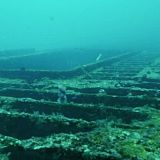 Reef Wrecks S01E05 Mexicos Artificial Reefs WEB h264-CAFFEiNE[TGx]