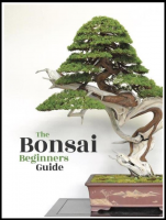 Bonsai: The Beginners Guide-Bonsai Empire(ePUB)