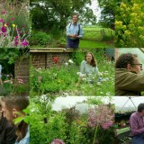 Gardeners World S52E17 WEB h264-WEBTUBE