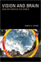 [ FreeCourseWeb ] Vision and Brain- How We Perceive the World