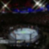 UFC Fight Night 155 720p WEB H264-LEViTATE[TGx] ⭐