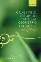 [ DevCourseWeb ] Gauge Field Theory in Natural Geometric Language - A revisitation of mathematical notions of quantum physics