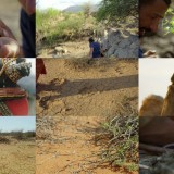Primal Survivor S04E03 WEB h264-TBS