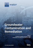 [ FreeCourseWeb ] Groundwater Contamination and Remediation [PDF]