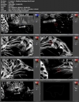 [ FreeCourseWeb ] The Protector Photo Composite