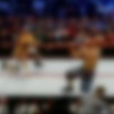 WWE Royal Rumble 2010 DSR XviD-XWT[TGx]