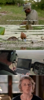 NOVA S47E15 Natures Fear Factor 480p x264-ZMNT