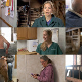 The Incredible Dr Pol S14E03 720p WEB x264-TBS