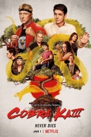 Cobra Kai S03 iTALiAN MULTi 1080p WEB x264-MeM