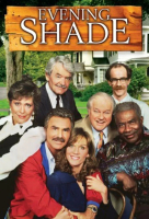 Evening.Shade.Season.2.DVDRip.x264-RYBOI