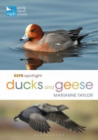 [ DevCourseWeb ] RSPB Spotlight Ducks and Geese (RSPB)