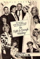 An.Eight.is.Enough.Wedding.TVRip.x264-RYBOI