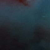 Shark vs Surfer 2020 WEB h264-CAFFEiNE[TGx]