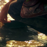 Gold Rush S09E09 WEBRip x264-ION10