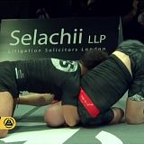 Polaris 9 WEB-DL H264 Fight-BB