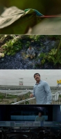 Cosmos Possible Worlds S01E07 480p x264-ZMNT