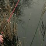 Hunting Fish S01E01 WEB h264-DOCiLE[TGx]
