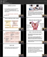 [ FreeCourseWeb ] Udemy - Learn Cardiac Physiology