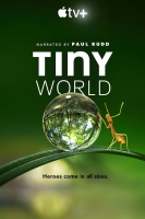 Tiny World S01 2160p WEB-DL x265 10bit-ztorrenter