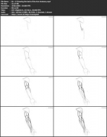 [ FreeCourseWeb ] Skillshare - Dynamic Anatomy for Artists - Drawing the Muscles...