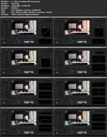 [ FreeCourseWeb ] Skillshare - Color Correct & Grade Like a Pro - Adobe Premiere...