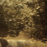 Catch-22 S01 WEBRip x264-ION10