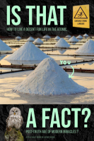 Kevin Focke – Is That A Fact?