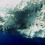 Worlds Biggest Great White 2019 WEBRip x264-CAFFEiNE[TGx]