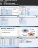 [ FreeCourseWeb ] Lynda - Introduction to SAP BI - BW
