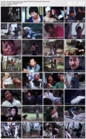Peculiar Boxing Tricks And the Master[1978]x264VHSrip(KungFu Classics)