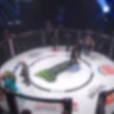 Bellator 239 Postlims 720p WEB h264-VERUM[TGx]