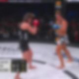 Bellator 233 540p WEB H264 Fight-BB