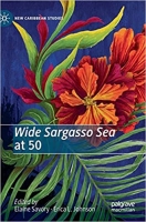 [ DevCourseWeb ] Wide Sargasso Sea at 50
